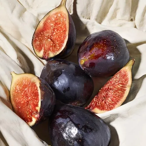 Dolce & Gabbana Blue Jasmine Eau De Parfum 50ml