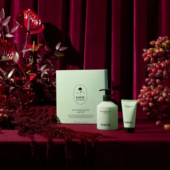 BABOR Soul & Body Agathist Gift Set 300ml
