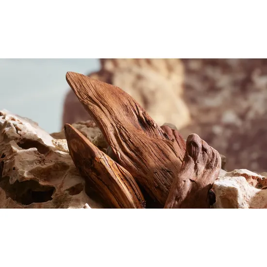 Dolce & Gabbana K Parfum 50ml