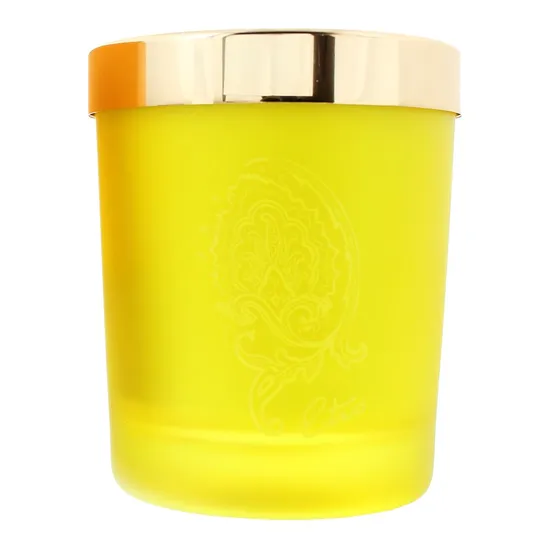 Etro Dafne Perfumed Candle 170g