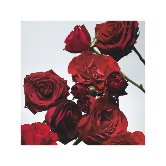 Jo Malone London Red Roses Bath Oil 30ml