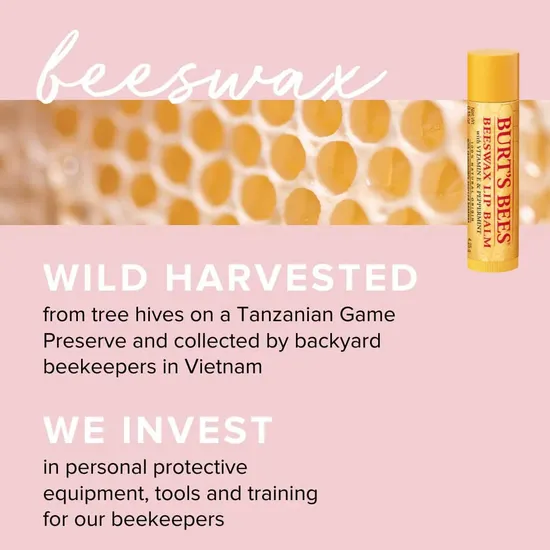 Burt's Bees Honey Moisturising Lip Balm 2 Pack