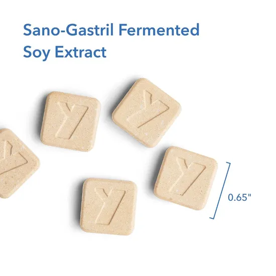 Allergy Research Group Sano-Gastril Tablets 36 Tablets