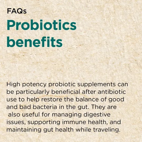 Cytoplan Recovery Biotic Capsules 60 Capsules