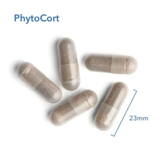 Allergy Research Group PhytoCort Capsules 120 Capsules