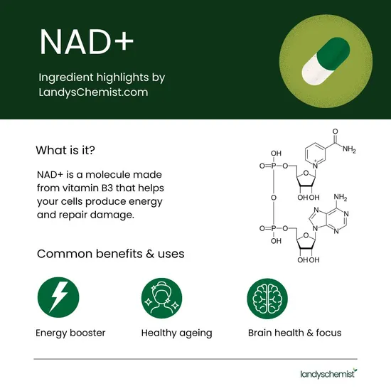 NMN Bio NAD+ Brain Capsules 90 Capsules