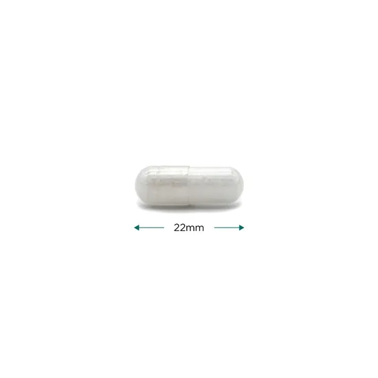 Cytoplan NAC Capsules 60 Capsules