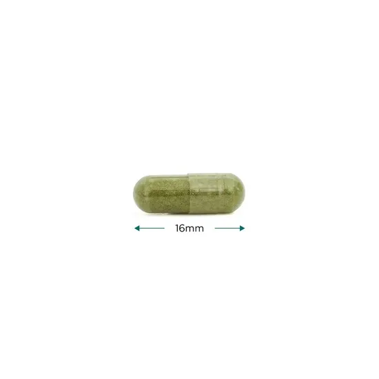 Cytoplan Iron Wholefood 10mg Elemental Capsules 60 Capsules
