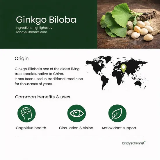 Biotics Research Ginkgo Biloba Tablets 60 Tablets