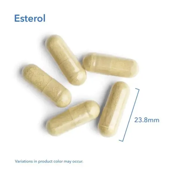 Allergy Research Group Esterol Ester-C Capsules 100 Capsules