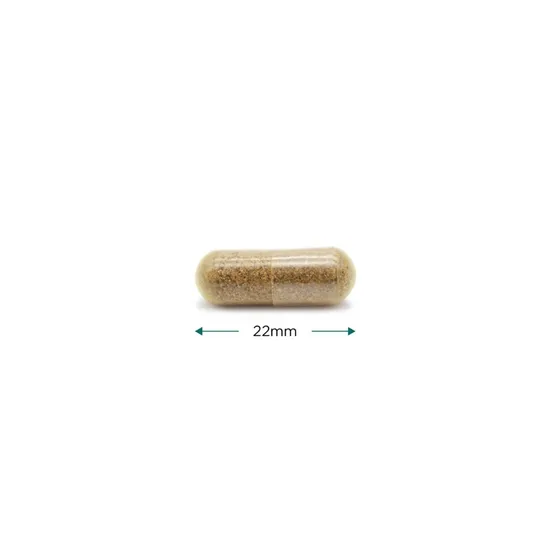 Cytoplan CytoProtect Liver Capsules 60 Capsules