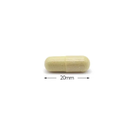 Cytoplan CytoProtect GI Tract Capsules 60 Capsules