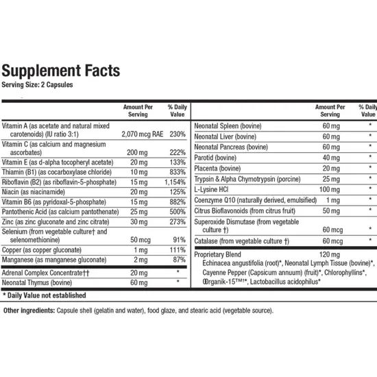 Biotics Research Bio Immunozyme Forte 90 Tablets