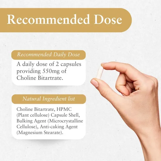 BePurer The Choline Capsule 60 Capsules