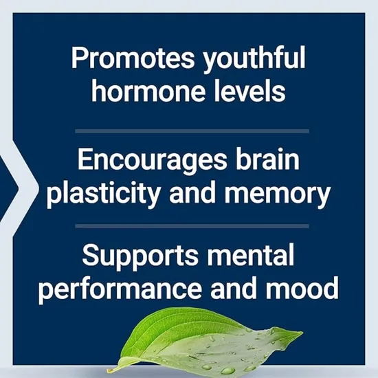 Life Extension Pregnenolone 100mg 100 Capsules