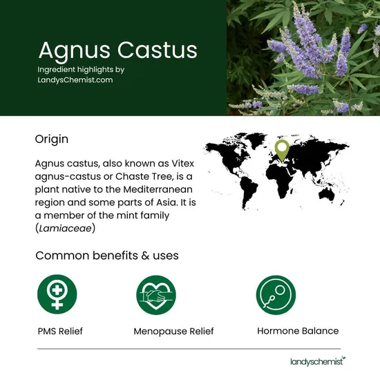 Natural Health Practice NHP Premium Agnus Castus Support Capsules 60 Capsules