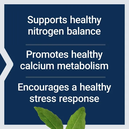 Life Extension L-Lysine 620mg 100 Veg Caps