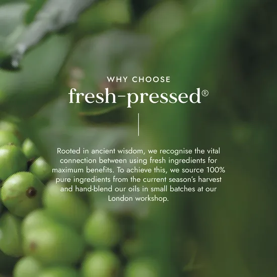 Fushi Holiday Ritual Kit