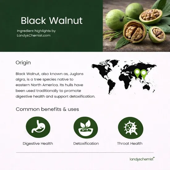 NOW Foods Green Black Walnut Wormwood Complex 59ml