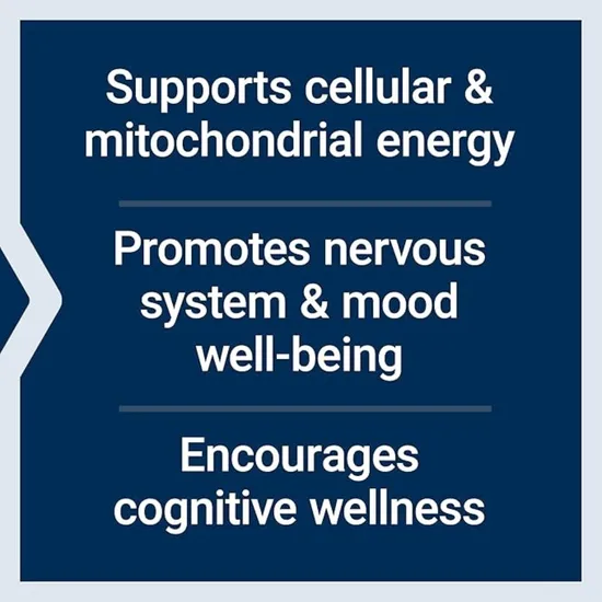 Life Extension Acetyl-L-Carnitine Arginate Vegicaps 90 Vegicaps