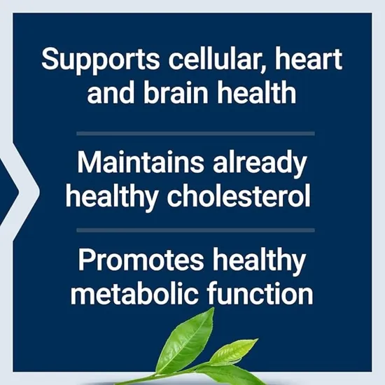 Life Extension Lightly Caffeinated Mega Green Tea Extract Vegicaps 100 Vegicaps