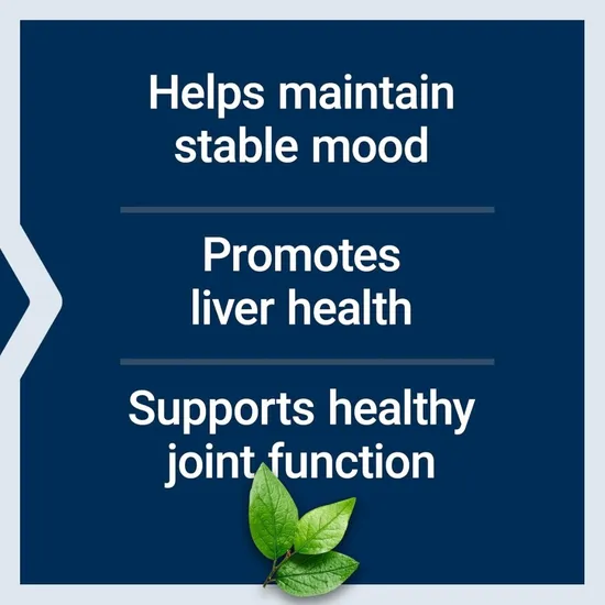 Life Extension SAMe S-Adenosyl-Methionine 400mg Tablets 60 Tablets