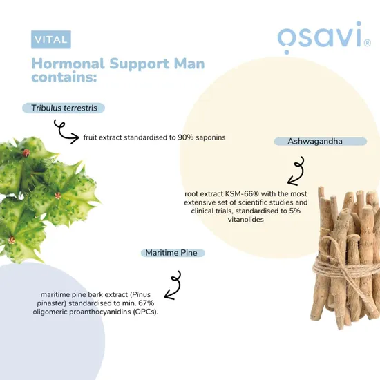 Osavi Hormonal Support Man Capsules 30 Capsules