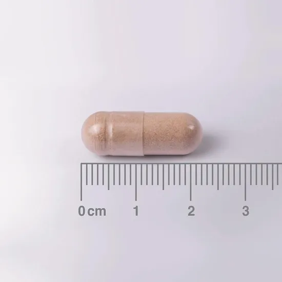 Lamberts L-Theanine & Lemon Balm Complex 60 Capsules