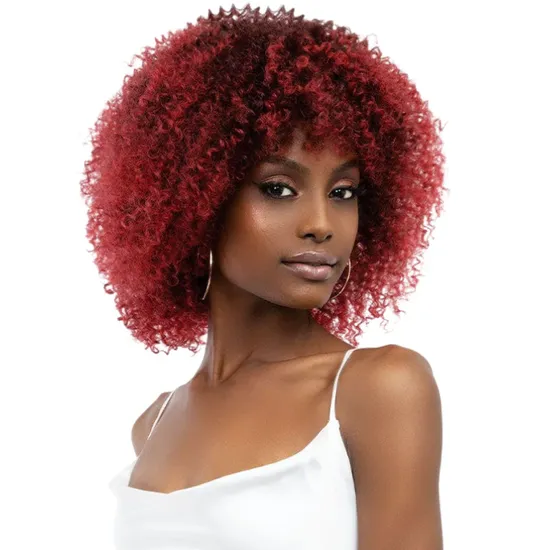 Janet Collection Natural Curly Natural Afro Leon Synthetic Wig