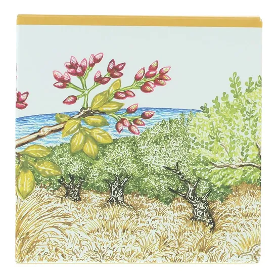 Hermès Un Jardin A Cythere Soap 100g