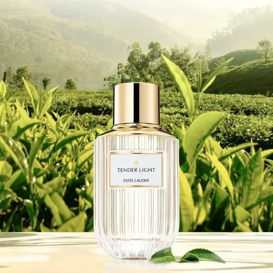 Estée Lauder Tender Light Eau De Parfum 40ml