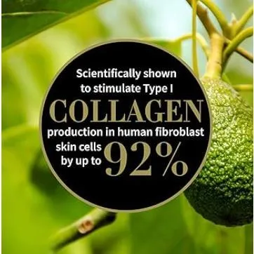 Antipodes Avocado Pear Nourishing Night Cream