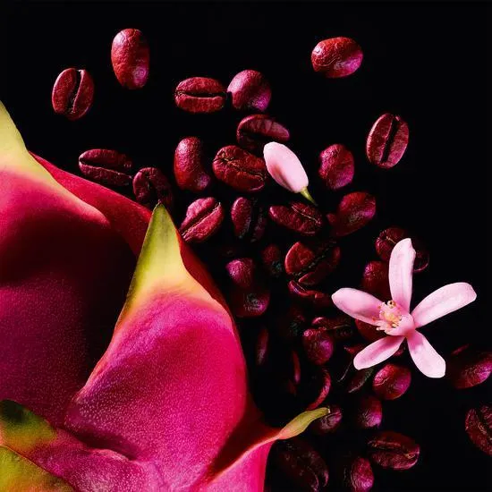 Yves Saint Laurent Black Opium Neon Eau De Parfum 75ml