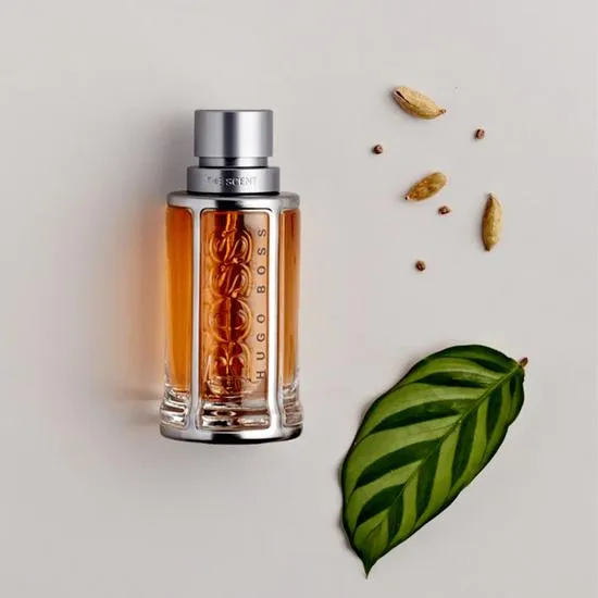 Hugo Boss The Scent Aftershave