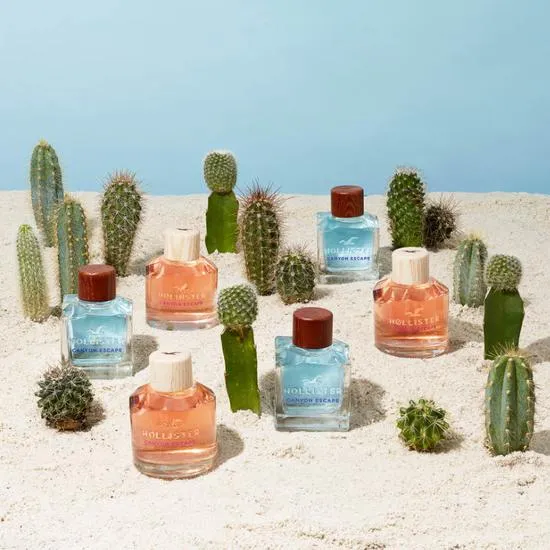 Hollister Canyon Escape For Him Eau De Toilette 100ml