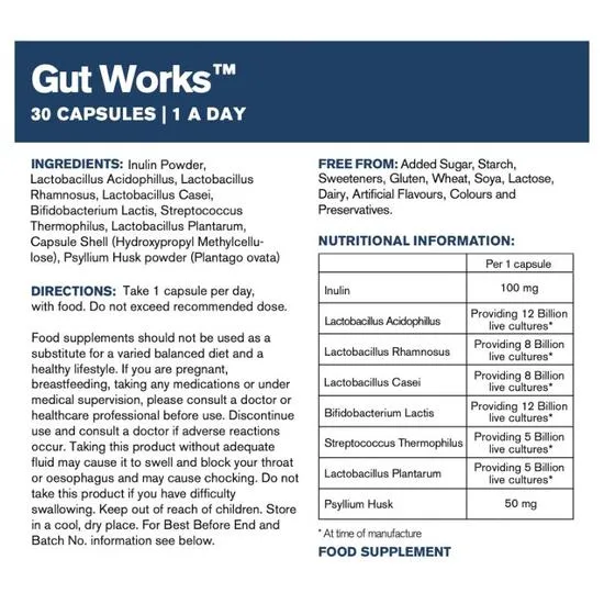 Dr Vegan Gut Works Pre & Probiotic 50bn CFU Capsules 30 Capsules