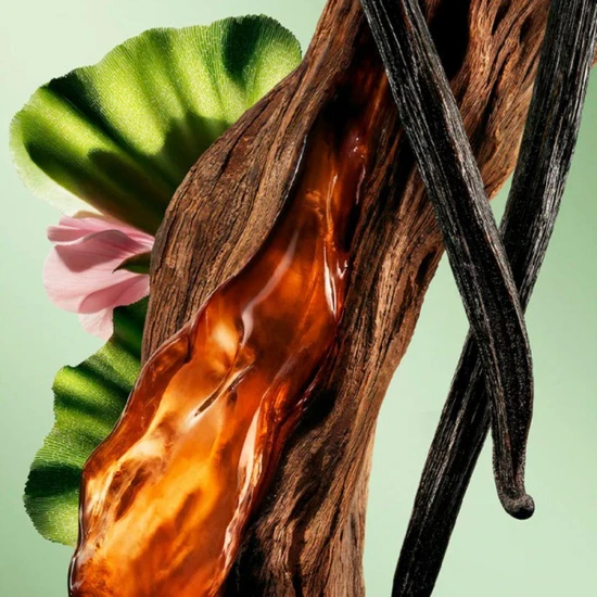 Prada Paradigme Refillable Le Parfum 50ml