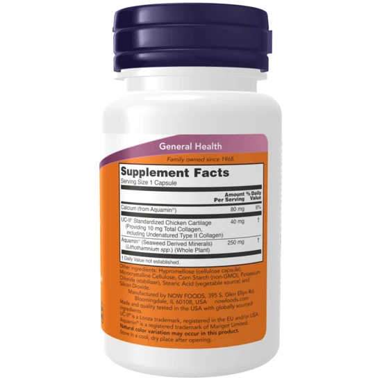 NOW Foods UC-II Undenatured Type II Collagen 60 Capsules