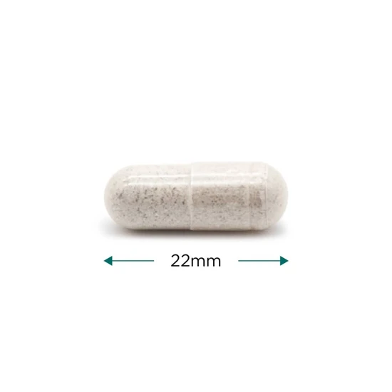 Cytoplan Thryoid Support Capsules 120 Capsules