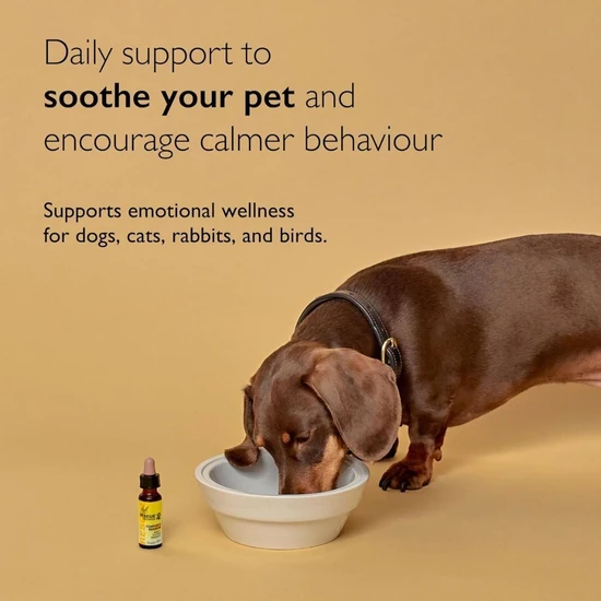 Bach Rescue Remedy Pet Dropper 10ml