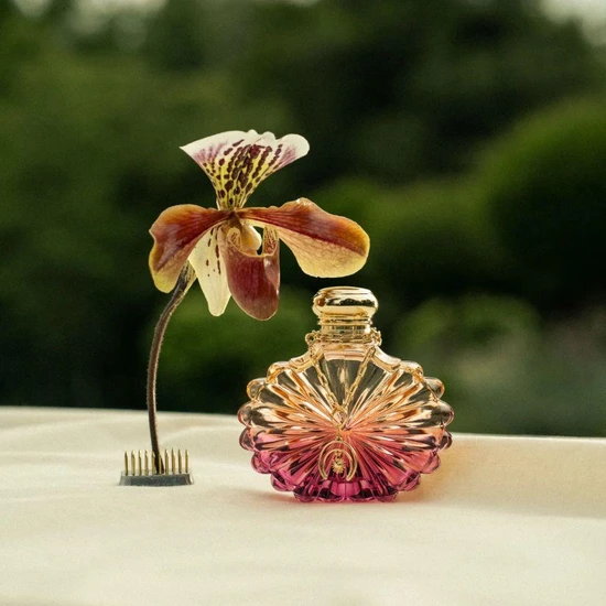 Lalique Soleil Lunar Eau De Parfum 50ml