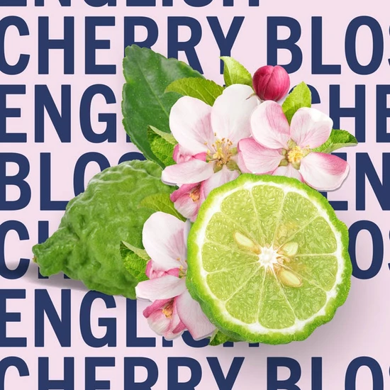Shay & Blue English Cherry Blossom Fragrance 30ml