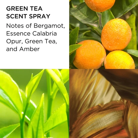 Elizabeth Arden Green Tea Set 2-Piece