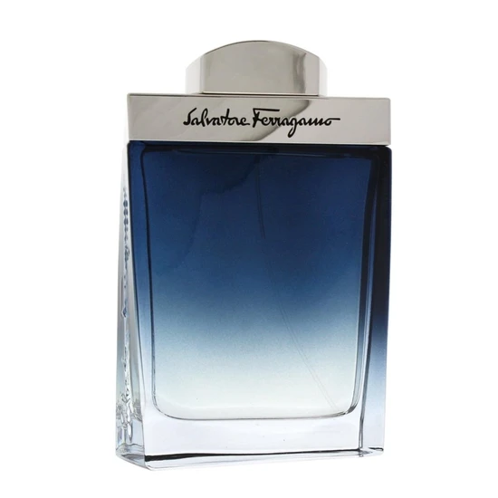 Salvatore Ferragamo Subtil Pour Homme Eau De Toilette 100ml