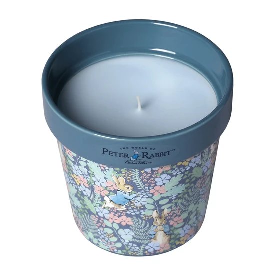 Peter Rabbit Wildflower Plant Pot Candle