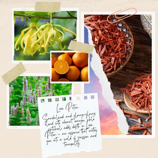 Made By Coopers Love Potion Aromatherapy Perfume Oil