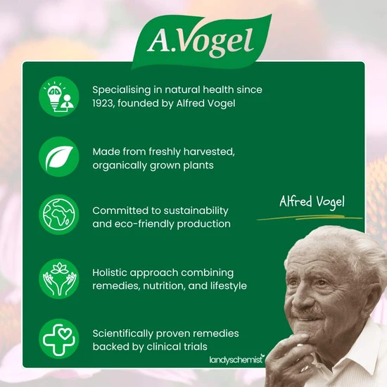 A.Vogel Santasapina Lozenges 100g