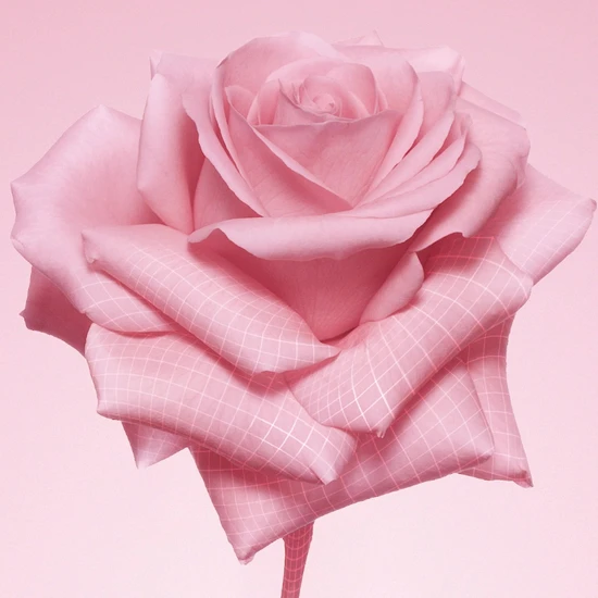 Pat McGrath Labs Divine Skin: Rose 001 The Essence 100ml