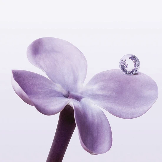 Issey Miyake A Drop d'Issey Eau De Parfum 90ml