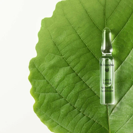 Dr Hauschka Calm & Balance Ampoules 28 x 2ml